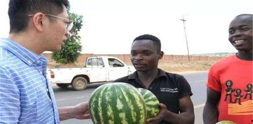 吃瓜网 免费吃瓜 黑