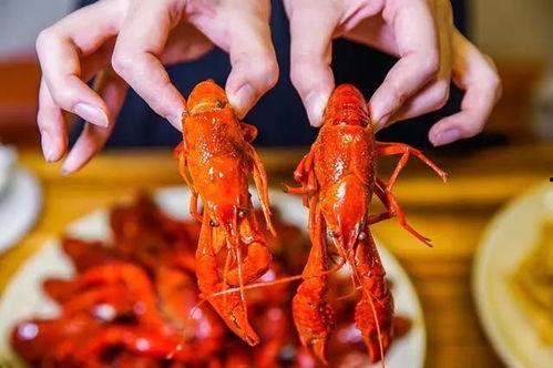 喝瓜吃虾武汉,畅饮瓜汁，尽享虾香