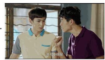 追星吃瓜小说,揭秘追星小说中的甜蜜与争议