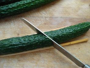 吃瓜卧龙,网络红人的崛起与影响力