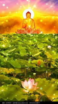 吃瓜背景纯音乐