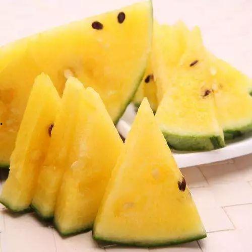 为吃瓜留学中国,揭秘留学生活背后的酸甜苦辣