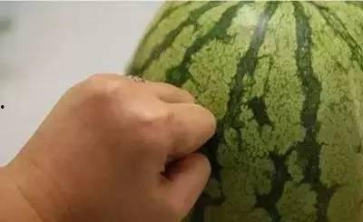 大头西瓜吃瓜技巧,大头西瓜的完美食用指南