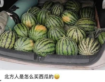 吃瓜的上海,吃瓜群众的美食之旅