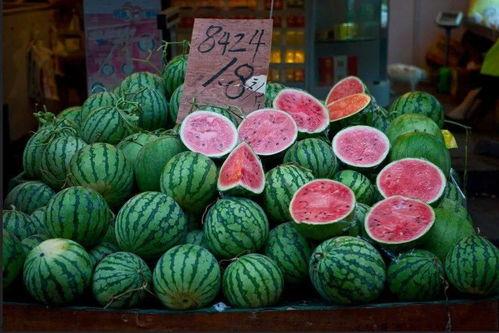 吃瓜的上海,吃瓜群众的美食之旅