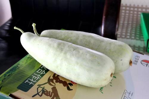 白兔会吃洋瓜吗怎么吃