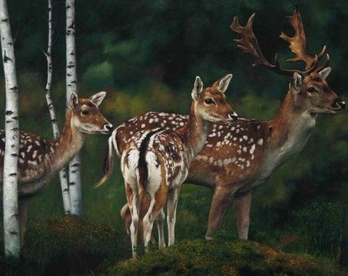 豆瓣吃瓜鹿组,揭秘娱乐圈幕后故事，带你领略真实娱乐圈