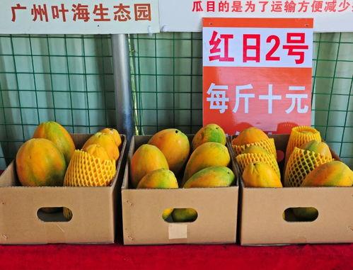 200万粉丝福利吃瓜