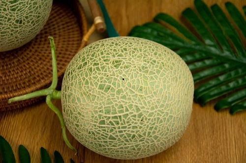 1岁可以吃网纹瓜,网纹瓜营养美味大揭秘