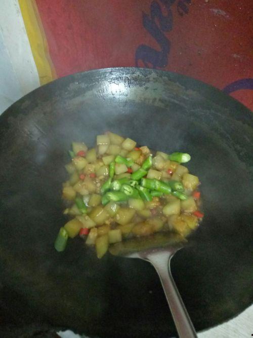 牛吃不吃葫芦瓜,揭秘葫芦瓜在牛饲料中的地位