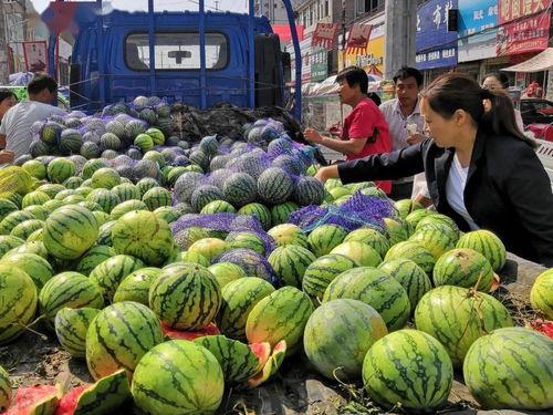 在网上买吃瓜,轻松“吃瓜”一网打尽