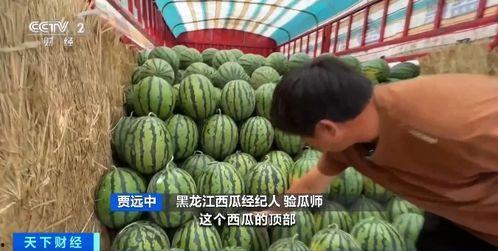 吃瓜蛆,网络舆论场中的新型传播现象