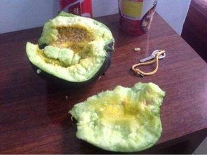 青色吃瓤的瓜,探寻瓜果的独特风味
