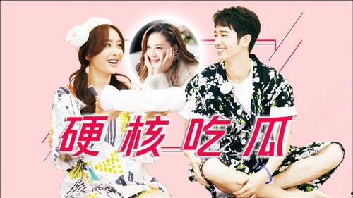 吃瓜大姐小说,揭秘娱乐圈背后的秘密风云