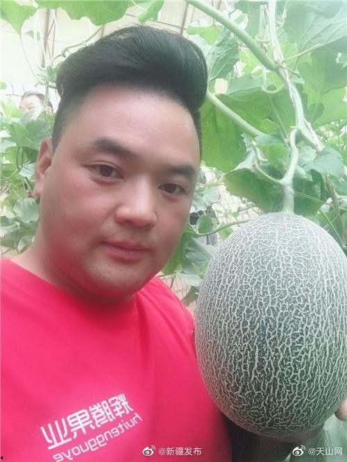 水果哥吃瓜直播,带你领略直播界的趣味与真实