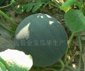 小墨吃瓜,揭秘娱乐圈那些不为人知的幕后故事