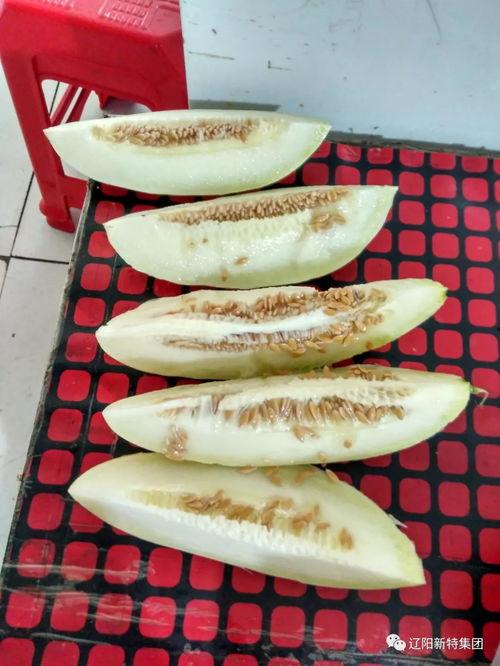 带篮子评价吃瓜,一场别开生面的带篮子吃瓜体验