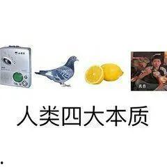 天天吃瓜的阿瓜叫什么来着