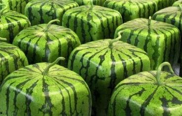 瓜沾着吃,尽享沾食之美