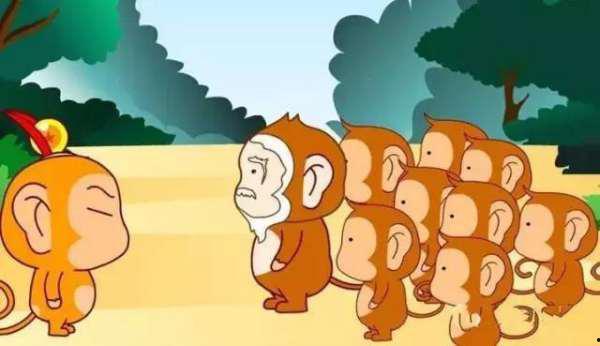 犀牛吃瓜随手扔瓜的故事,一场奇妙的生态互动之旅