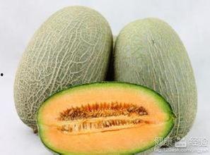 哈密瓜 热着吃,热食体验，暖意盎然