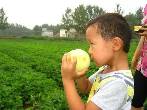 吃瓜说亮话,揭开真相背后的故事