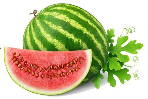 吃瓜网首页,揭秘娱乐圈最新热点，带你畅游八卦海洋