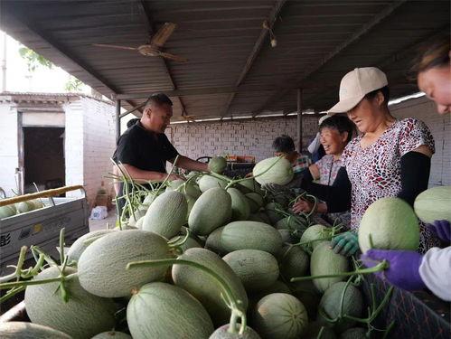 嘉乡吃瓜事件,揭秘网络谣言背后的真相