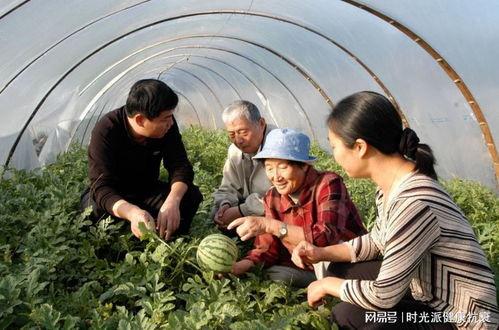 职高户外游戏吃瓜,欢乐吃瓜时光