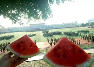 学弟军训吃瓜,学弟们的欢乐时光