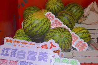 武汉公园吃瓜,街头巷尾的悠闲时光