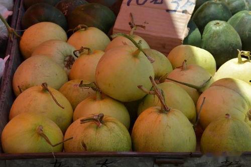 诚诚吃瓜,揭秘娱乐圈那些不为人知的幕后故事