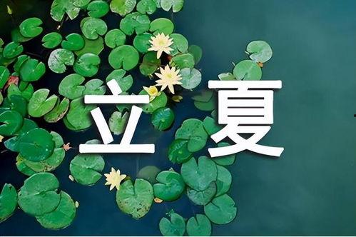 立夏吃瓜图片可爱,萌动夏日甜蜜时光