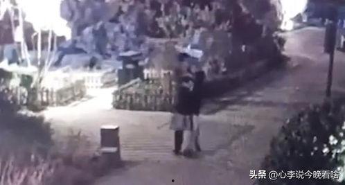 永清吃瓜事件视频,一场网络热议的真相揭秘