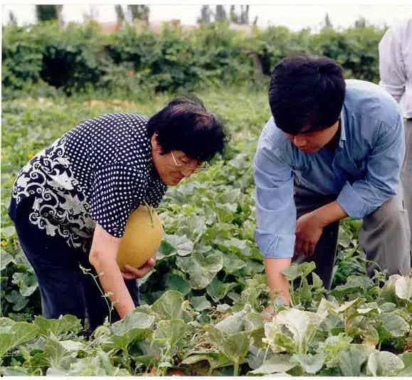 文产院吃瓜,校园风云背后的故事