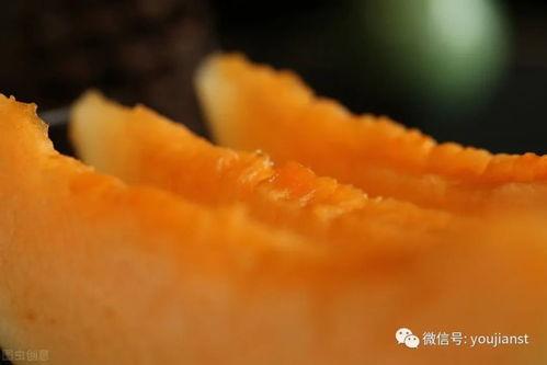 认真吃瓜中,网络热词背后的文化现象