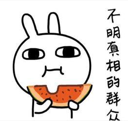 搞笑吃瓜群河南