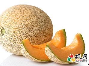 周公解梦买瓜吃瓜,买瓜吃瓜的寓意与启示