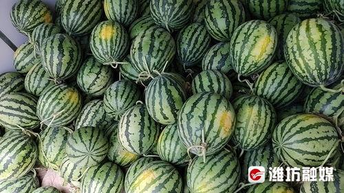 滕州淘宝街吃瓜,一场别开生面的吃瓜盛宴