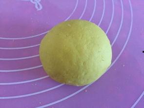 小玫瑰吃瓜,小玫瑰的瓜田奇遇记