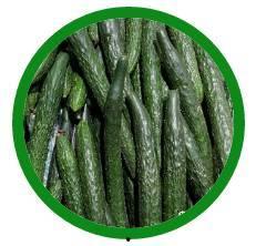 精瓜协同每天怎么吃,健康生活新选择