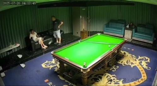 台球吃瓜爆料免费,吃瓜爆料，免费探秘台球界幕后故事