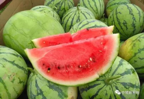 时遇吃瓜,揭秘娱乐圈的幕后故事