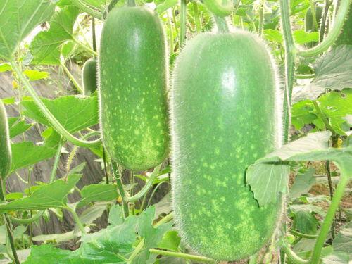 8.13吃瓜,娱乐圈幕后真相曝光