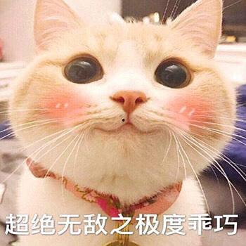 豆瓣组提起吃瓜,揭秘吃瓜群众的狂欢盛宴