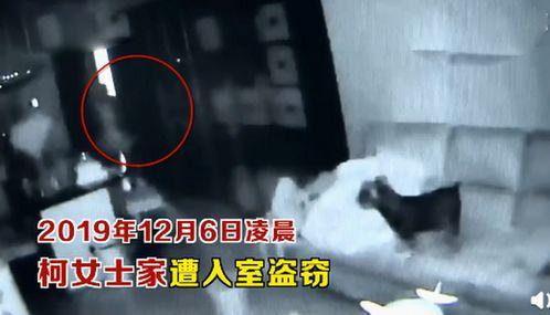 入室杀人吃瓜,入室杀人案的惊悚真相揭露