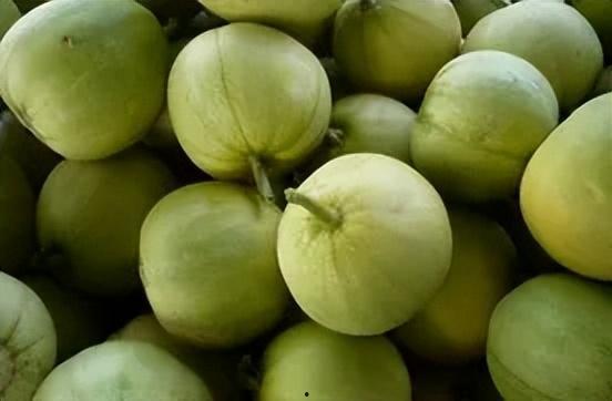 梦见别人分田瓜吃,共赏分田瓜果的和谐寓言