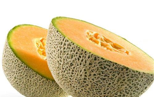 吃黑鱼可以吃哈密瓜吗,探寻饮食搭配的奇妙之旅