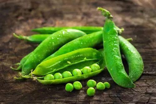 吃瓜的豆,揭秘娱乐圈的甜蜜与苦涩