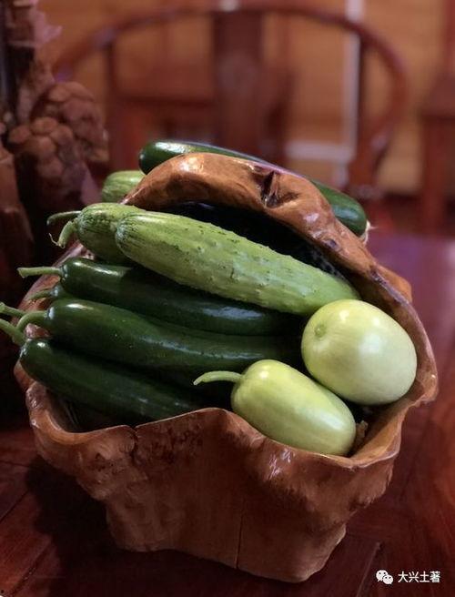 江西大网红吃瓜,揭秘网络红人的幕后故事